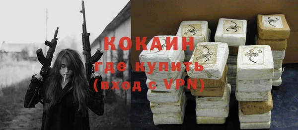 индика Абинск