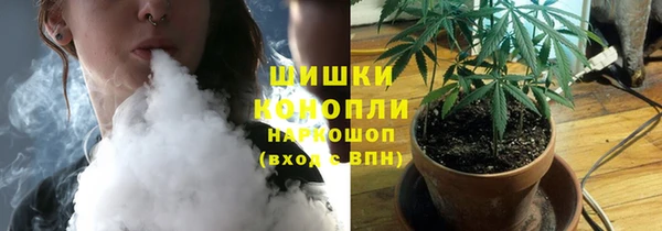 сатива Пересвет
