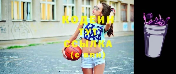 индика Абинск