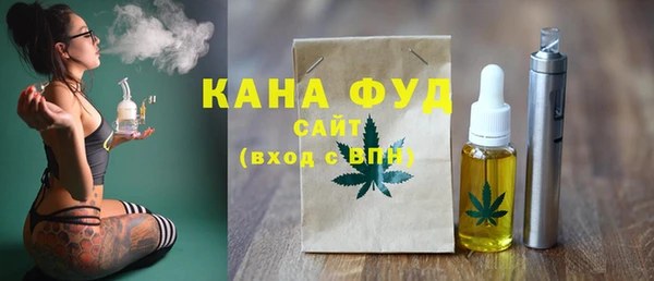 индика Абинск