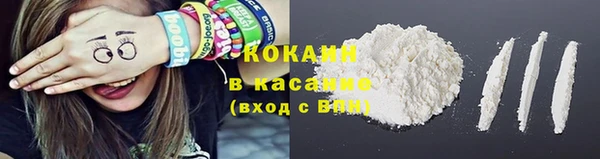 индика Абинск