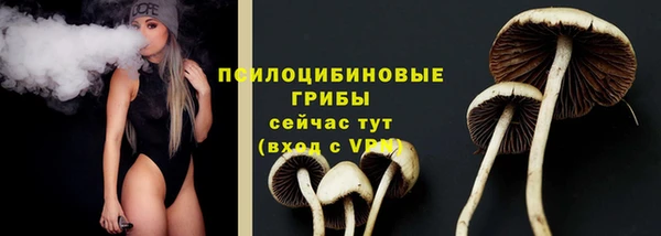 спайс Пестово