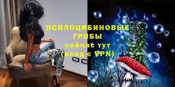 бутират Алзамай