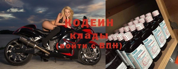 индика Абинск