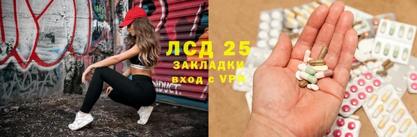 индика Абинск
