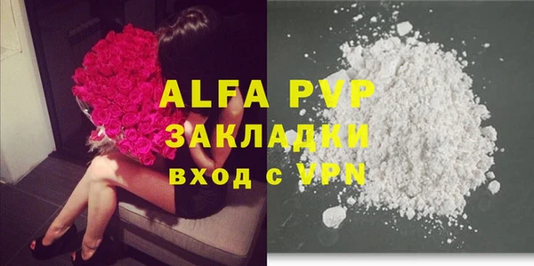 индика Абинск