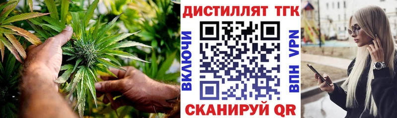 дарнет шоп  Отрадная  Дистиллят ТГК Wax 