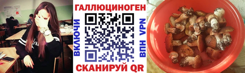 Галлюциногенные грибы GOLDEN TEACHER  цены наркотик  Отрадная 